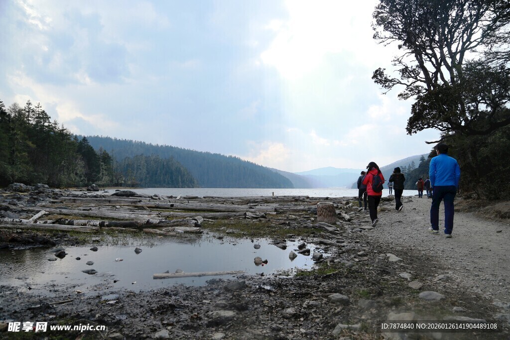 普达措森林公园