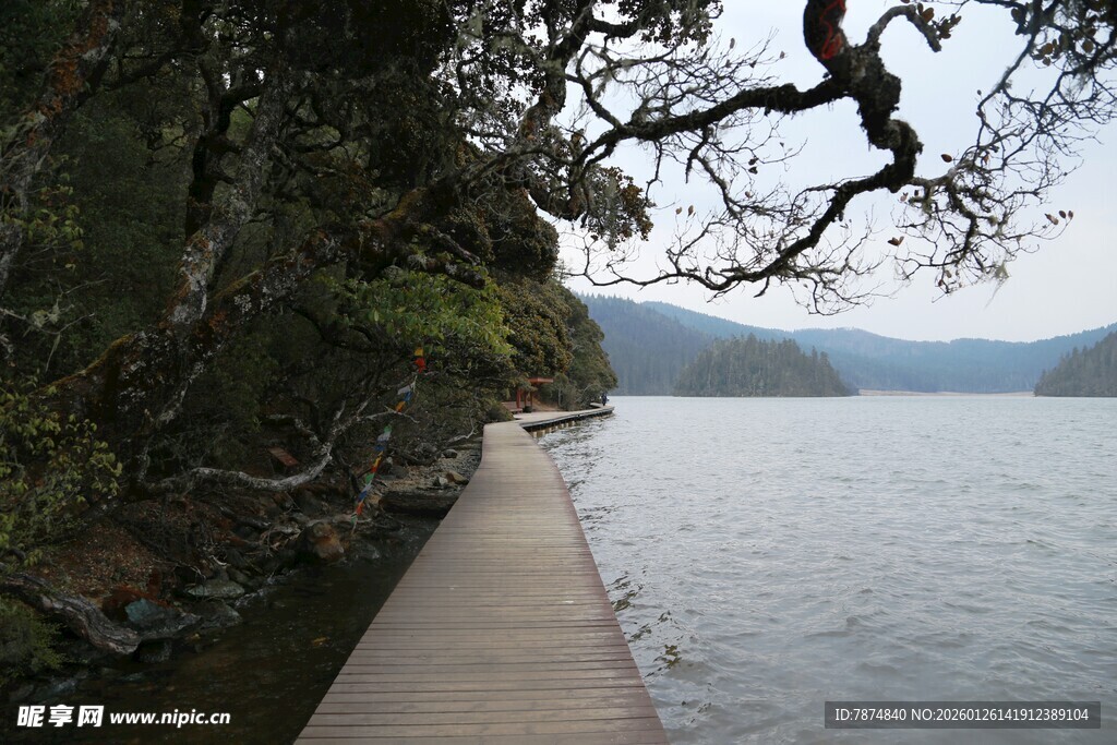 普达措森林公园