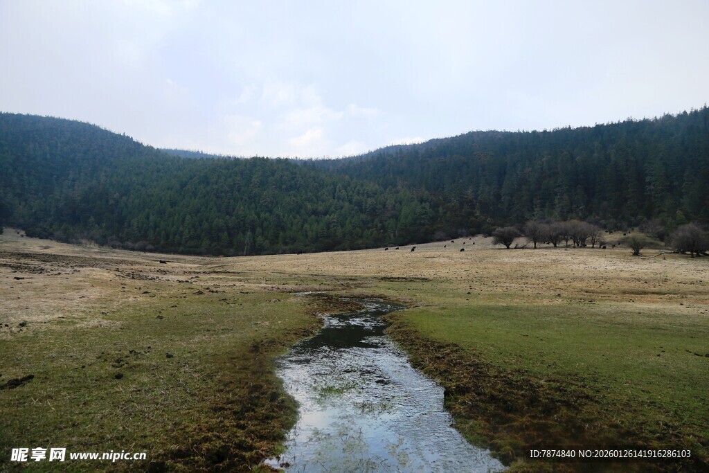 普达措森林公园