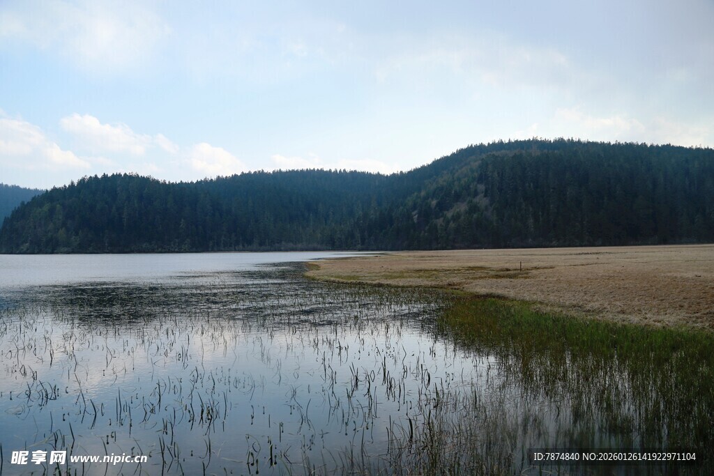 普达措森林公园