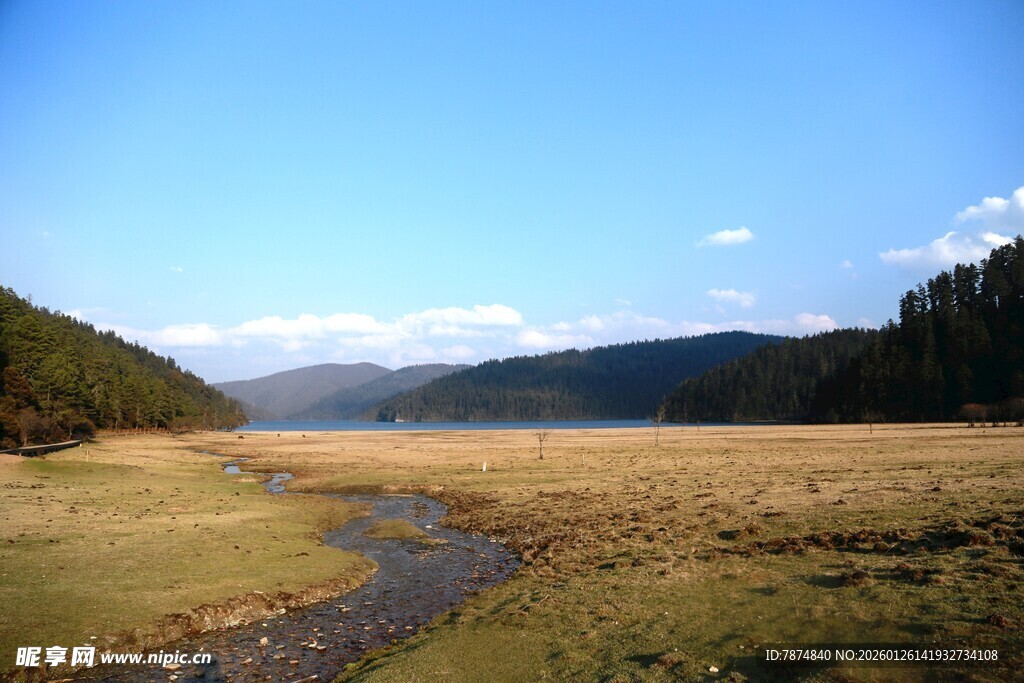 普达措森林公园