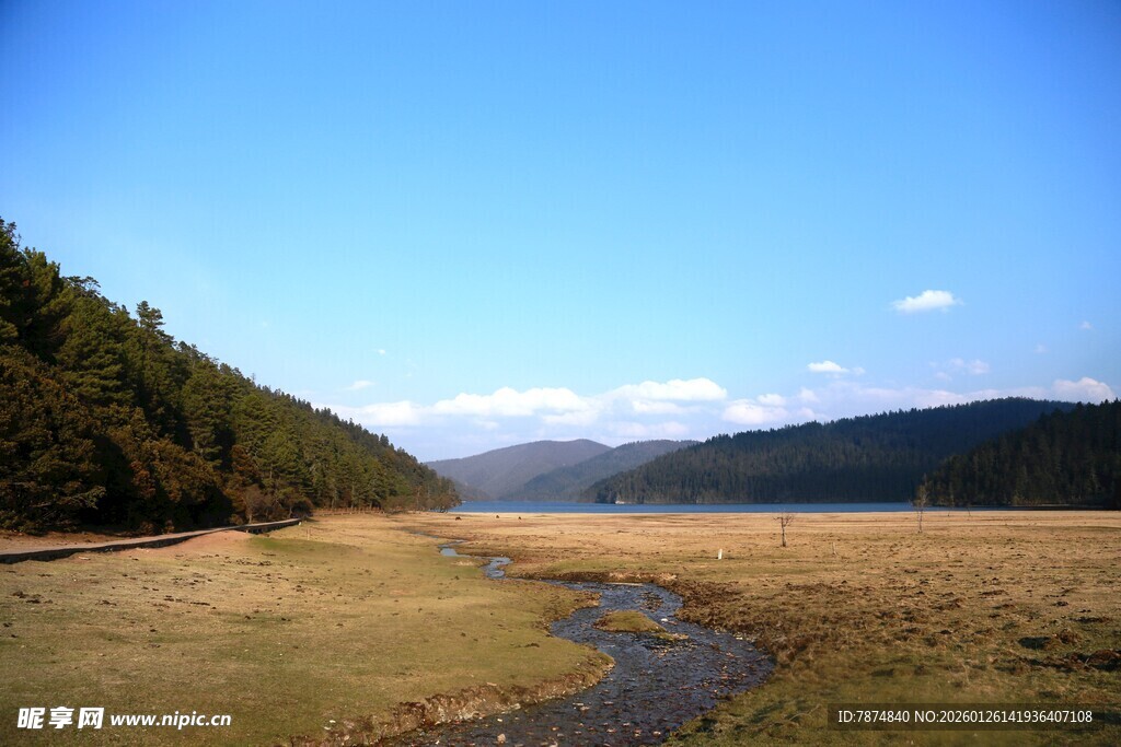 普达措森林公园