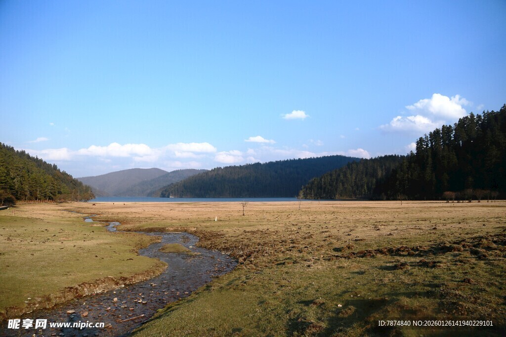 普达措森林公园