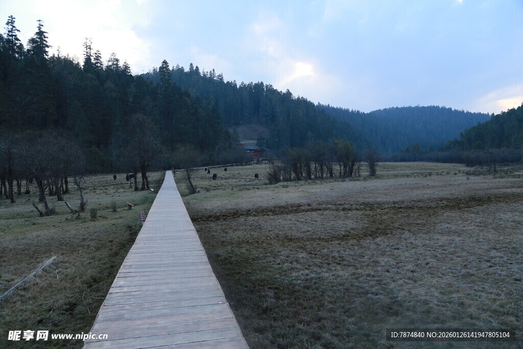普达措森林公园