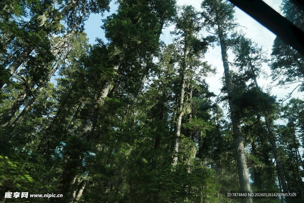 普达措森林公园