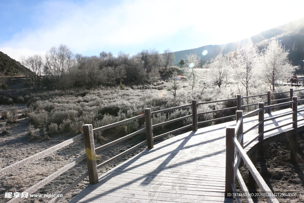 普达措森林公园