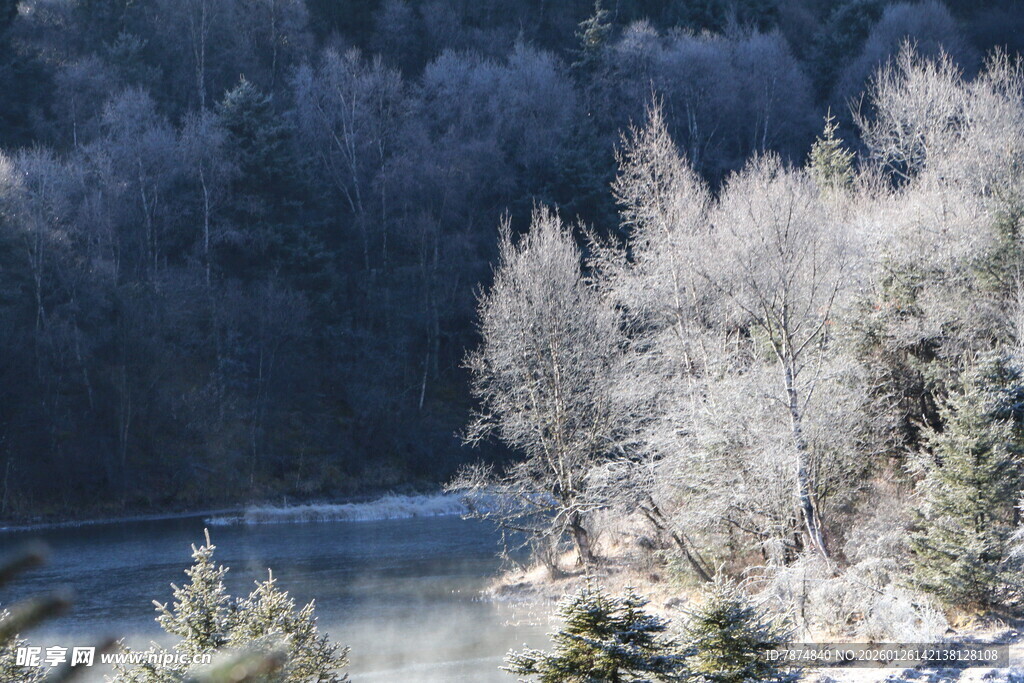普达措森林公园