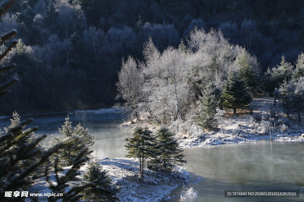 普达措森林公园