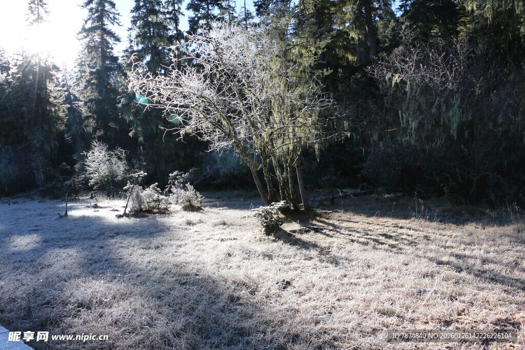 普达措森林公园