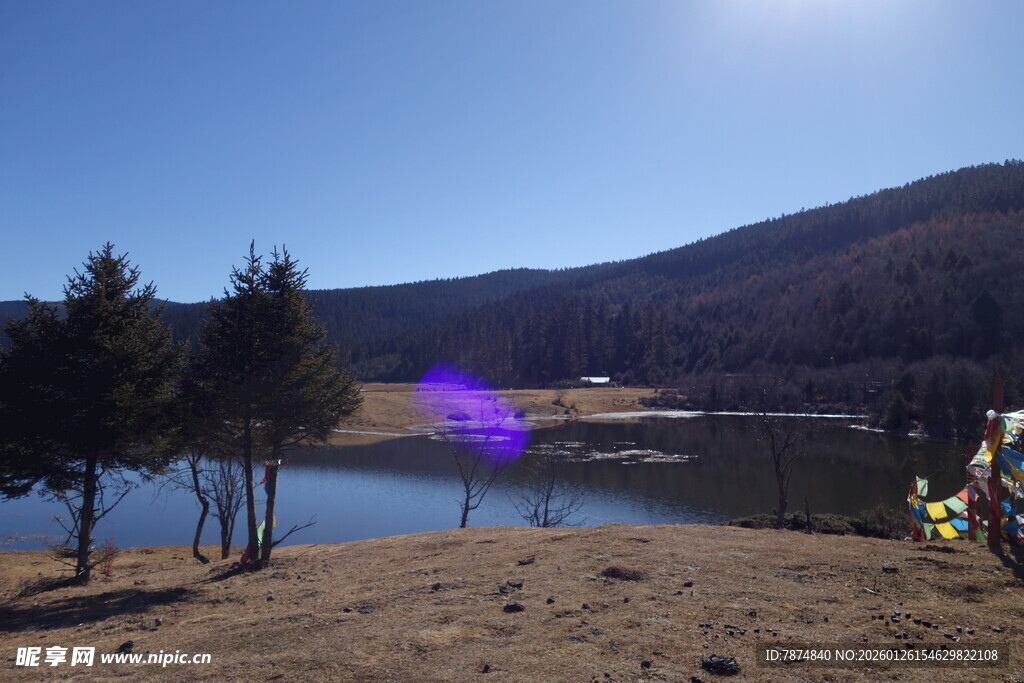 普达措森林公园