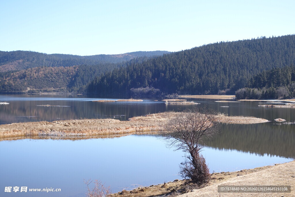 普达措森林公园