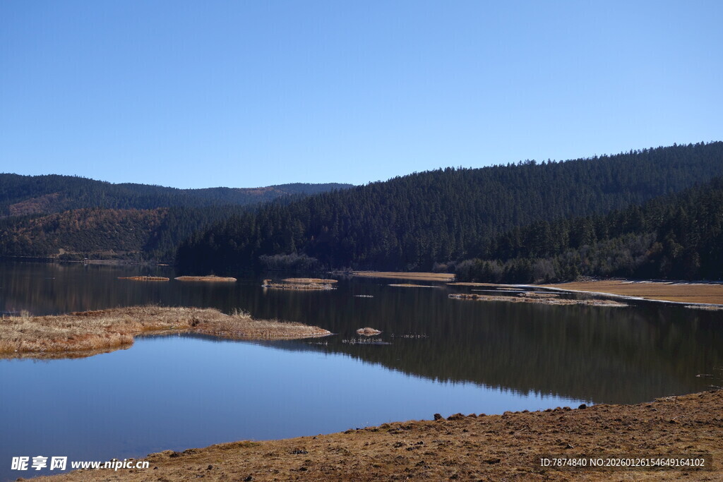 普达措森林公园