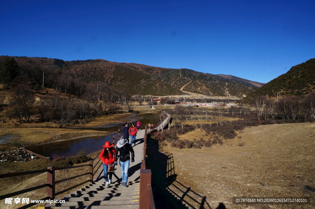 普达措森林公园