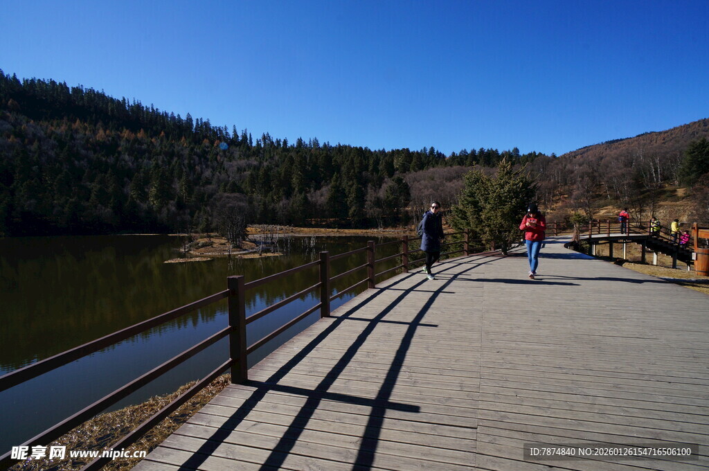 普达措森林公园