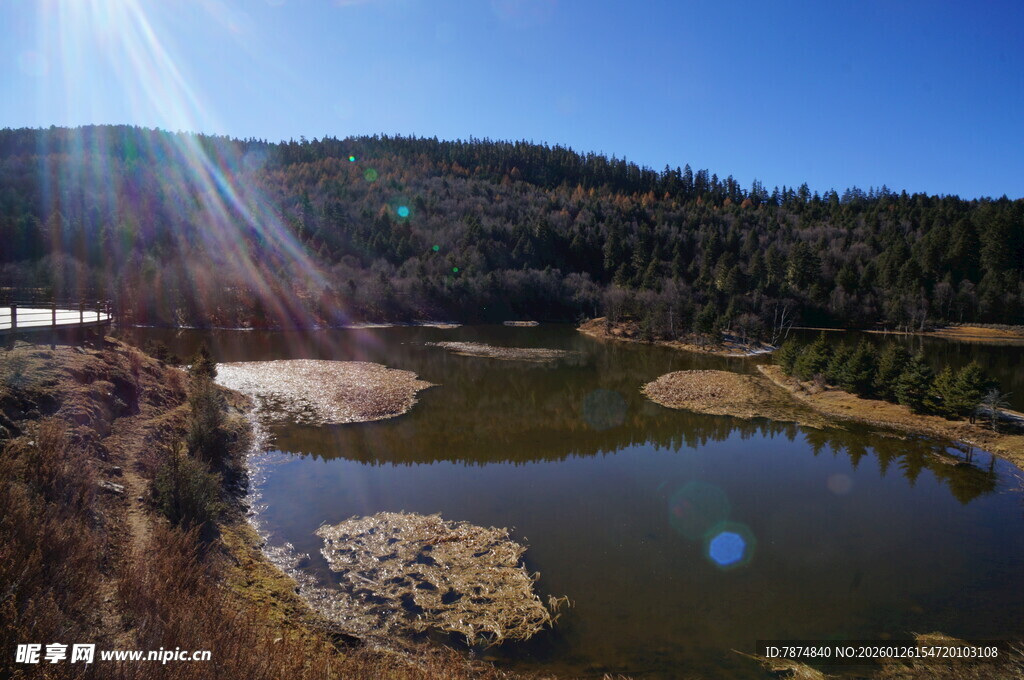 普达措森林公园