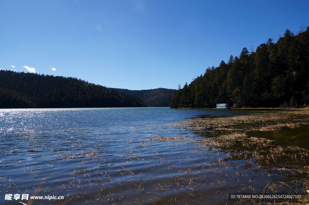 普达措森林公园