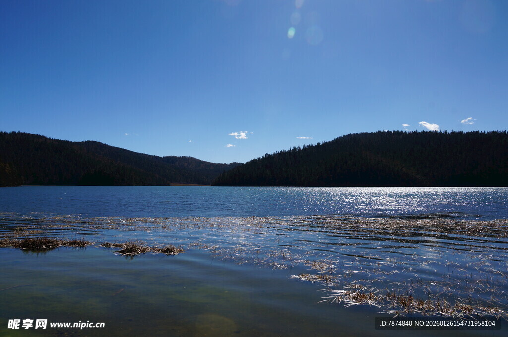 普达措森林公园