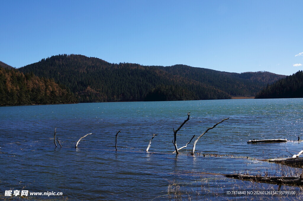 普达措森林公园