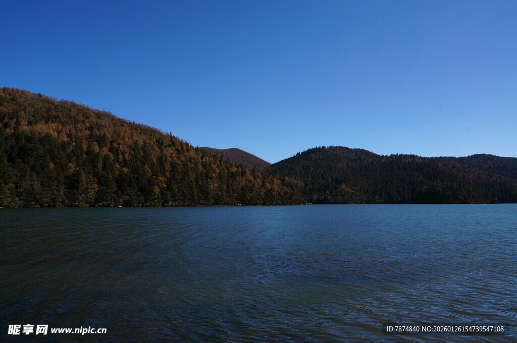 普达措森林公园