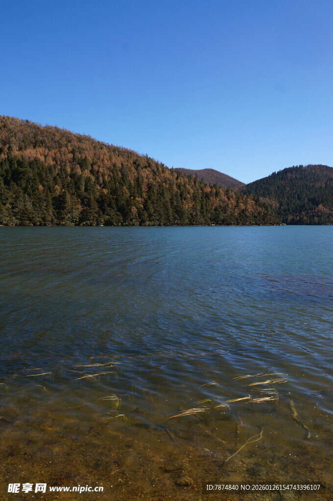 普达措森林公园