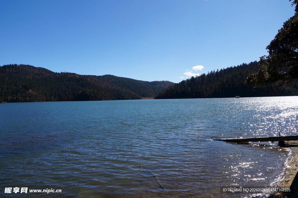 普达措森林公园