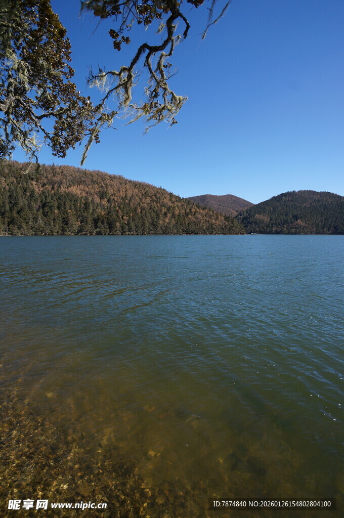 普达措森林公园