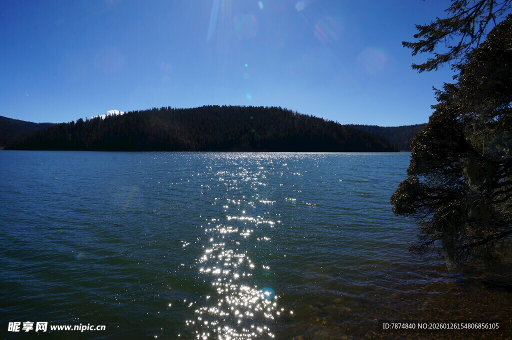 普达措森林公园