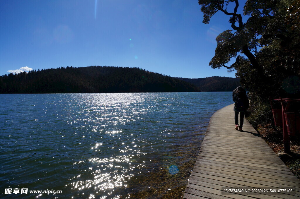 普达措森林公园