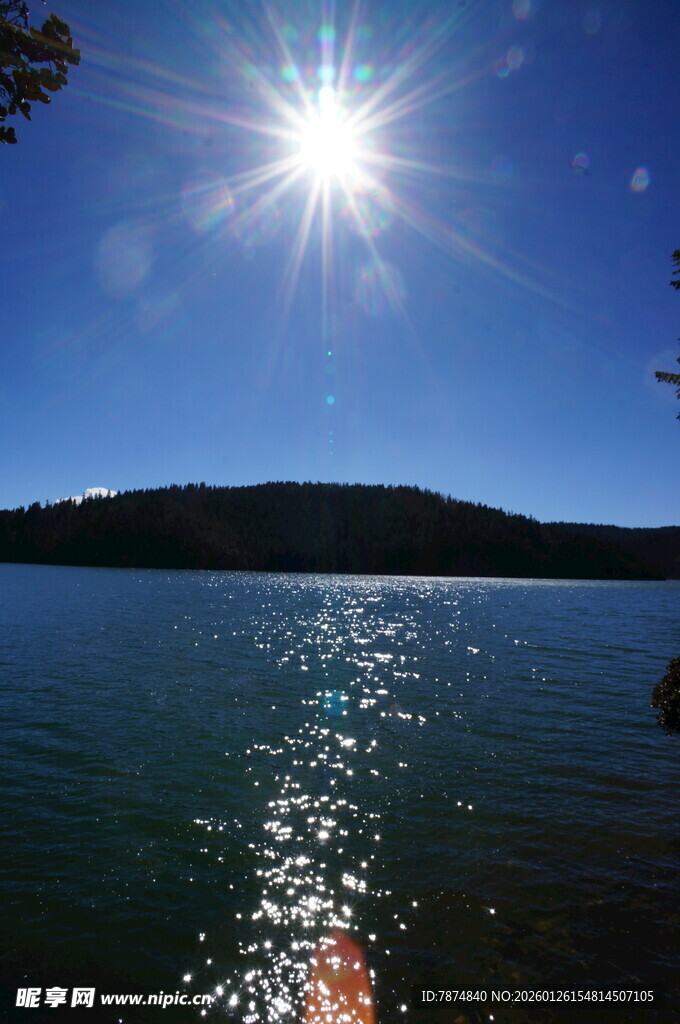 普达措森林公园