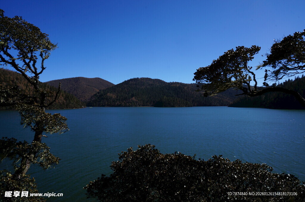 普达措森林公园