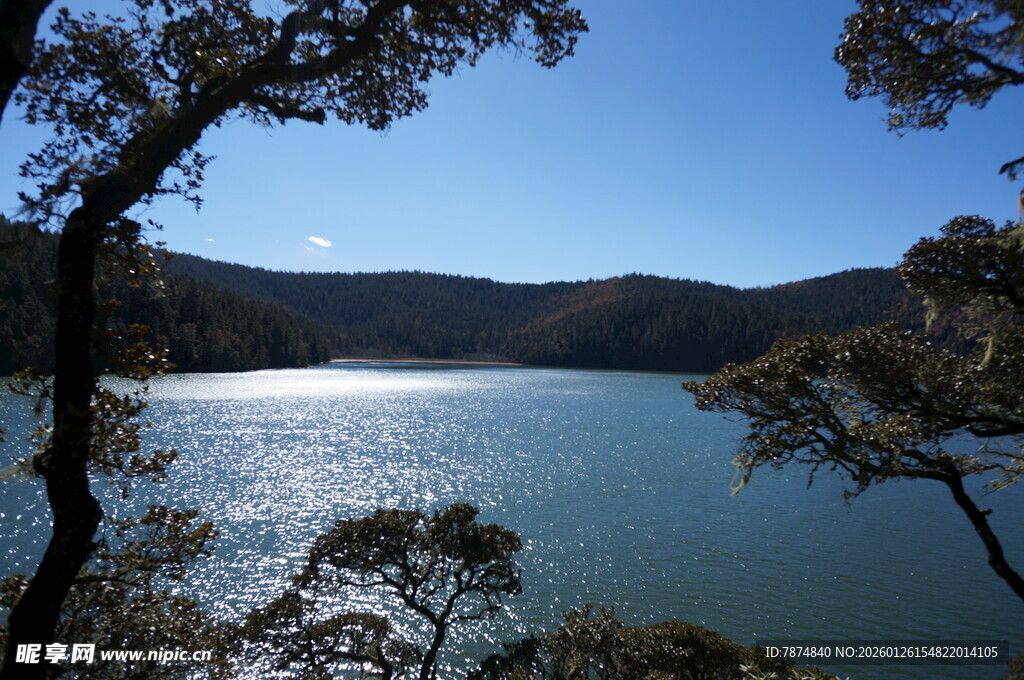 普达措森林公园