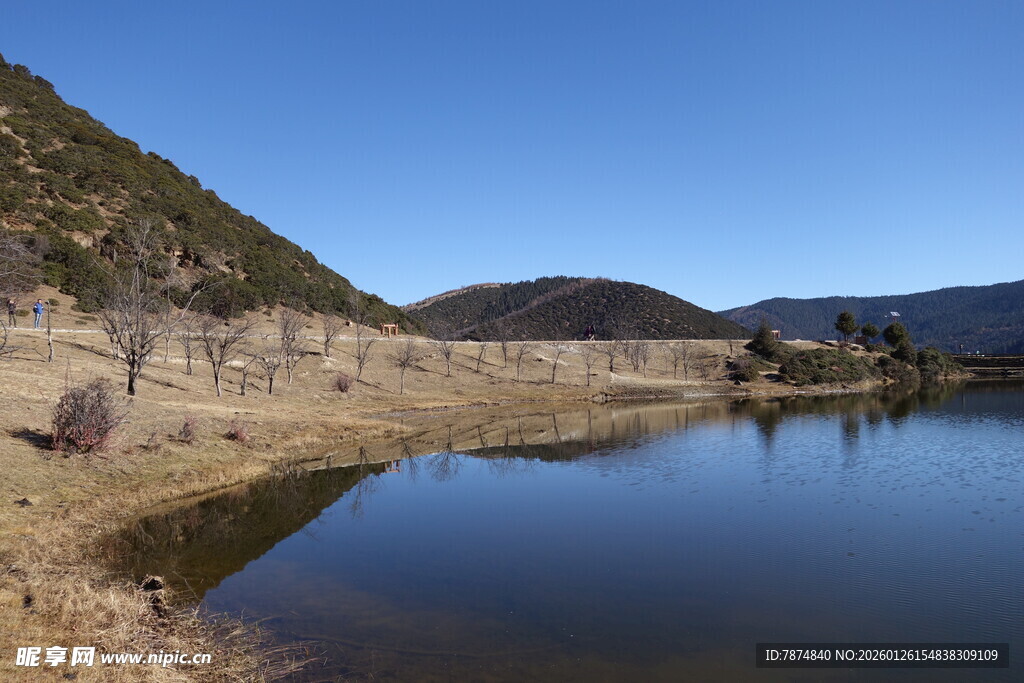普达措森林公园