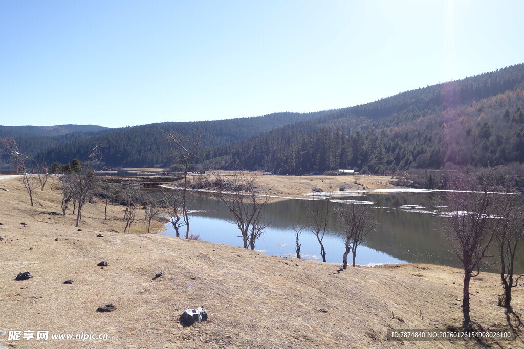 普达措森林公园