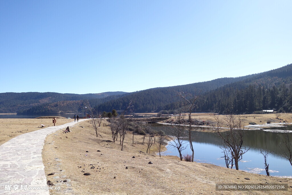 普达措森林公园