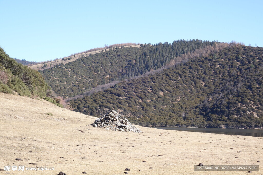 普达措森林公园
