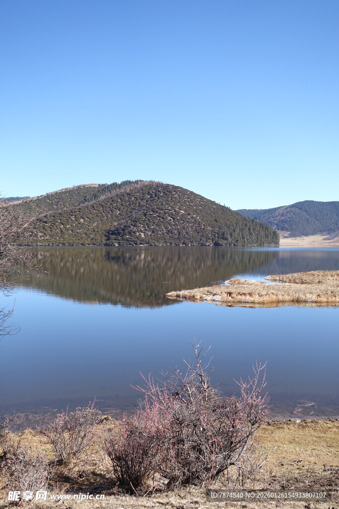 普达措森林公园