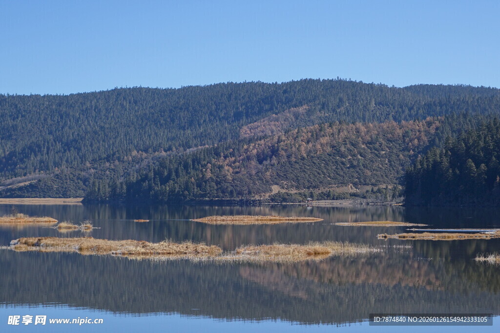 普达措森林公园