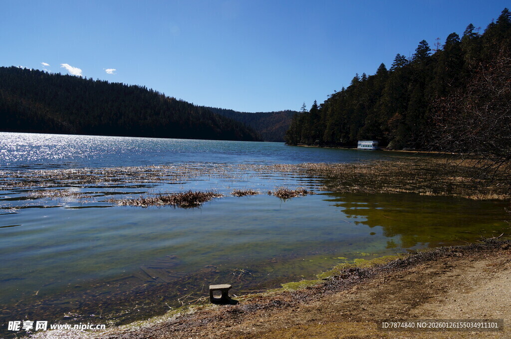 普达措森林公园
