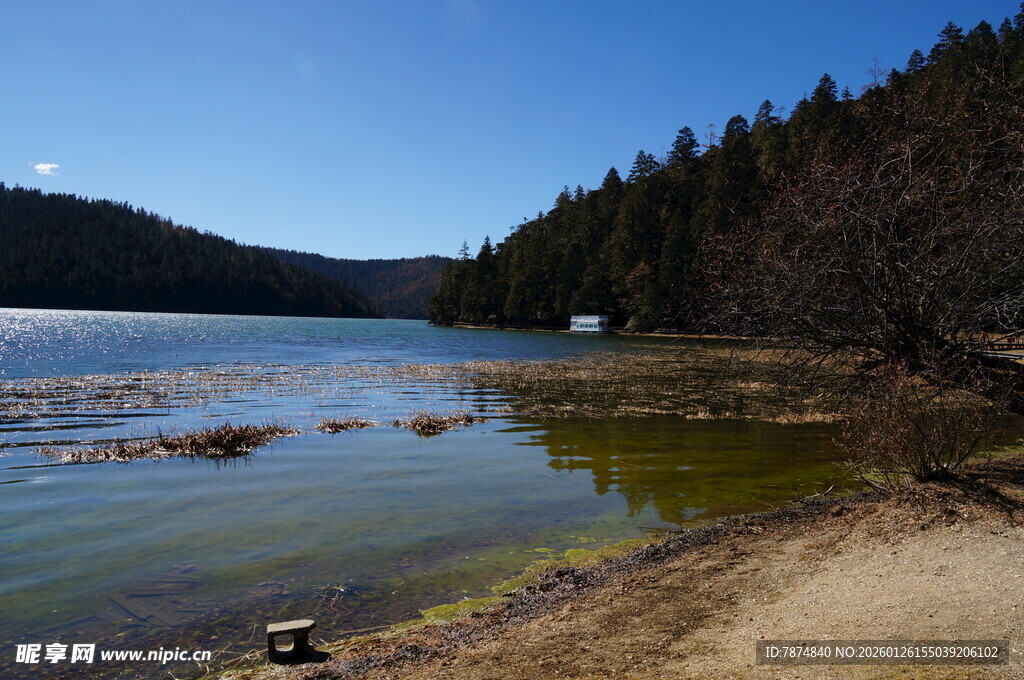 普达措森林公园