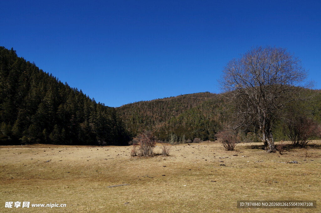 普达措森林公园