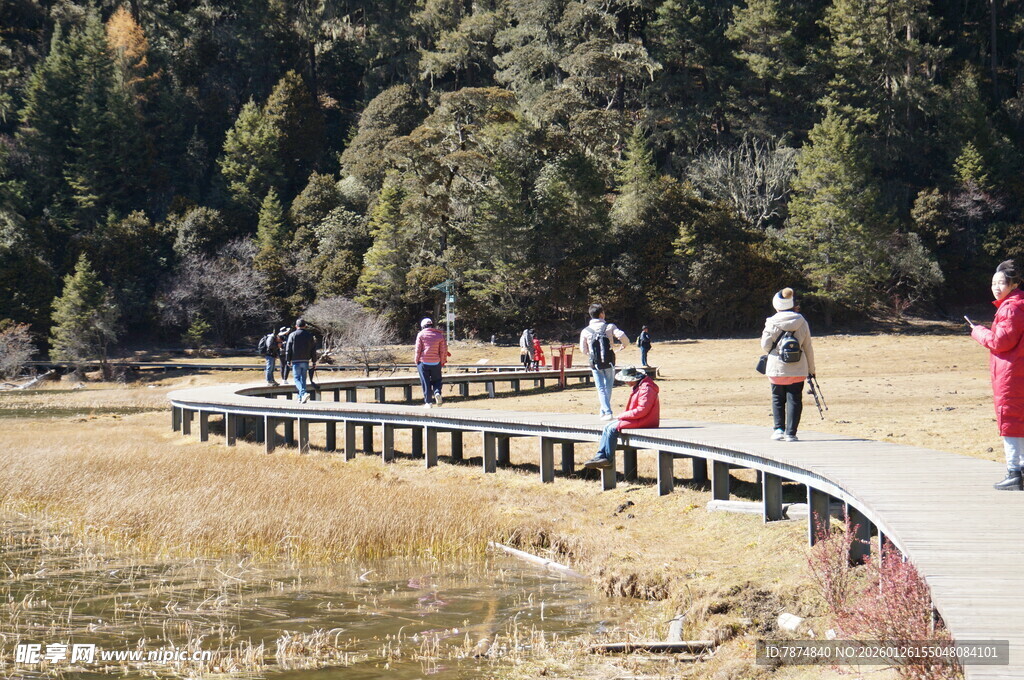 普达措森林公园