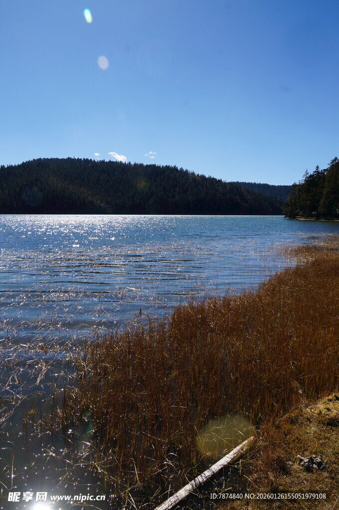 普达措森林公园