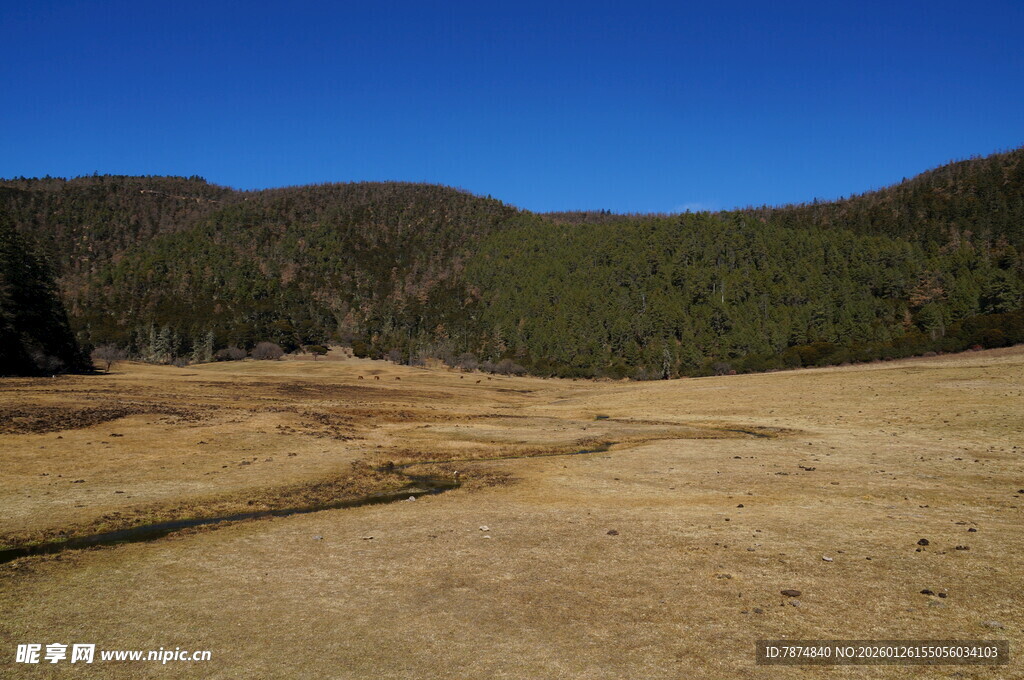 普达措森林公园