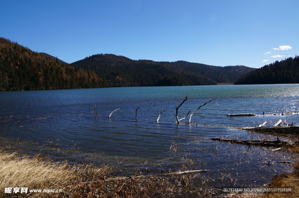 普达措森林公园