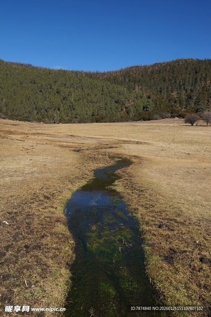 普达措森林公园