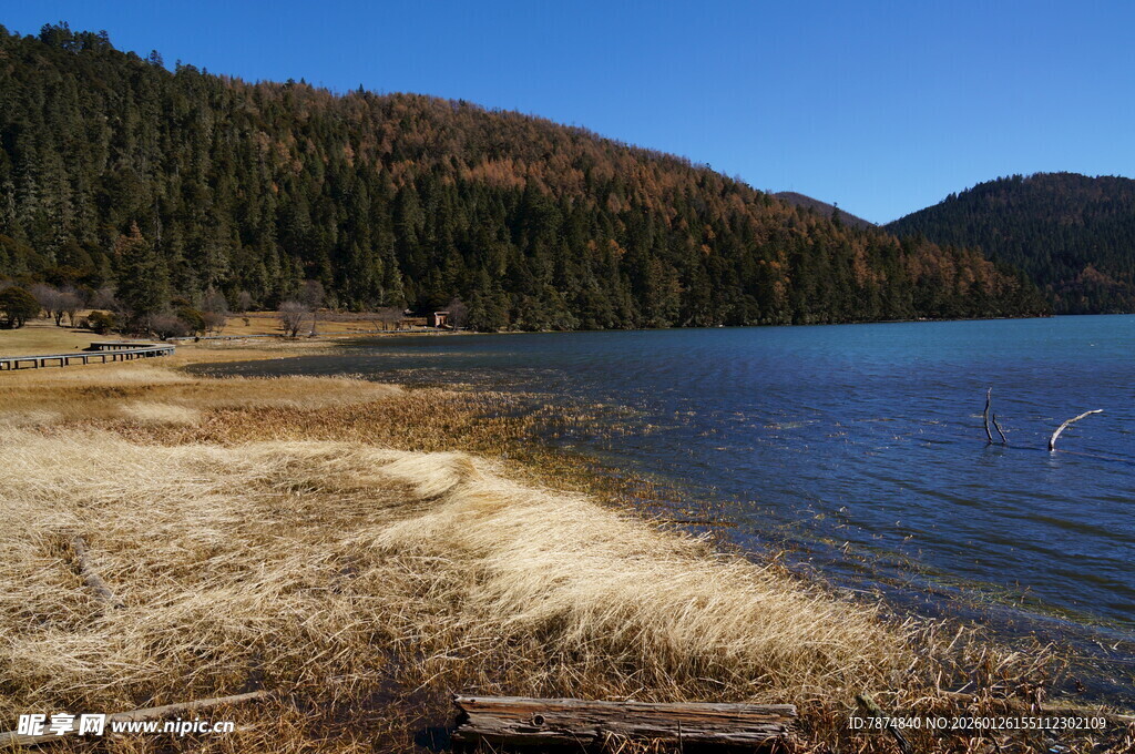 普达措森林公园