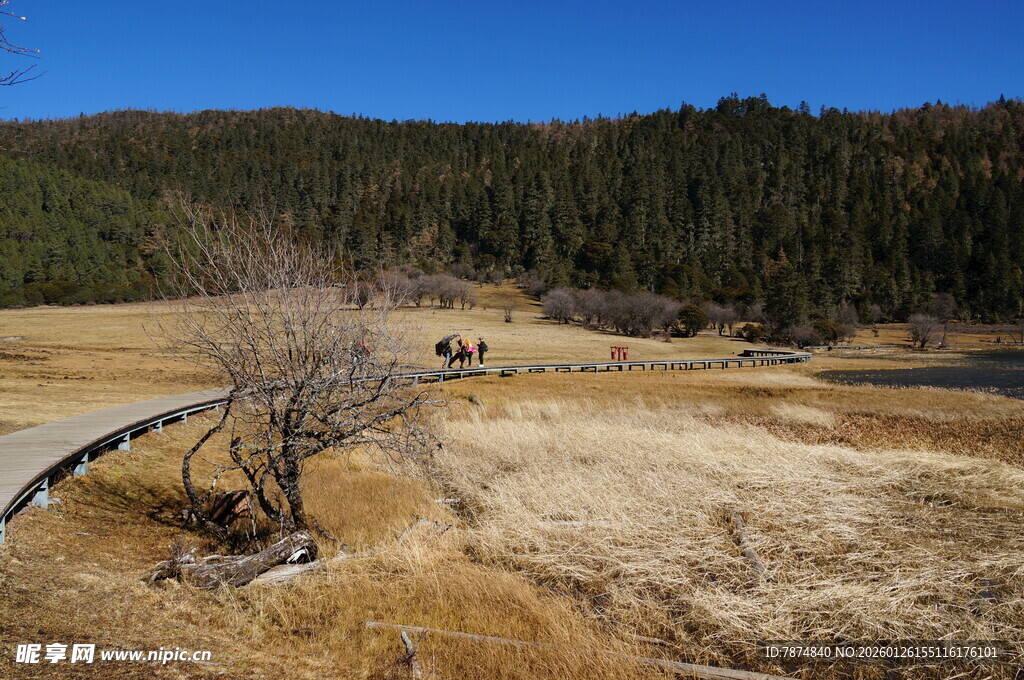 普达措森林公园