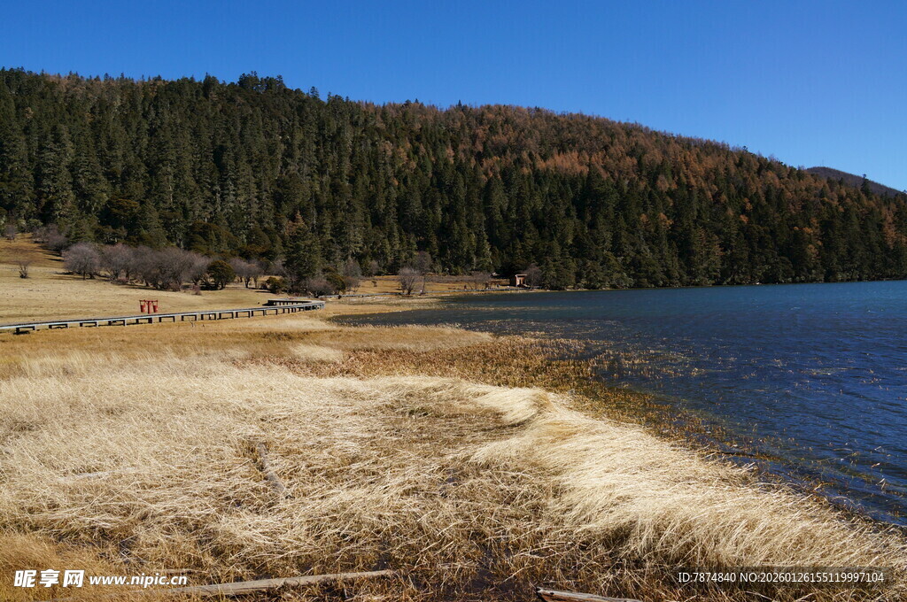 普达措森林公园