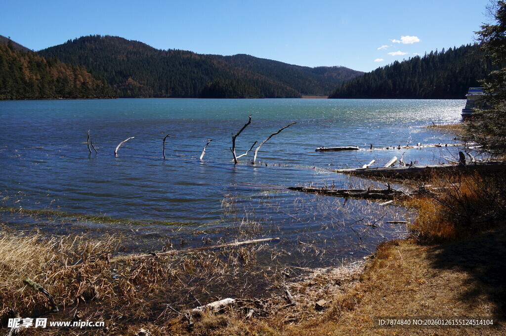 普达措森林公园