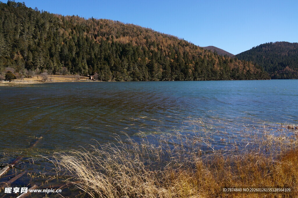 普达措森林公园